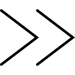 Fast Forward Thin Arrows icon