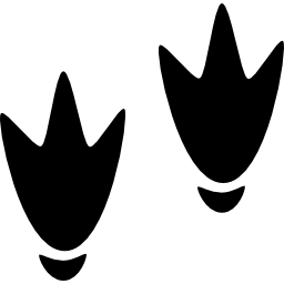 アヒルの足跡 icon