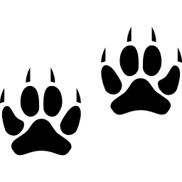 Два отпечатка лап животных иконка
