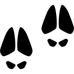 Animal footprints icon