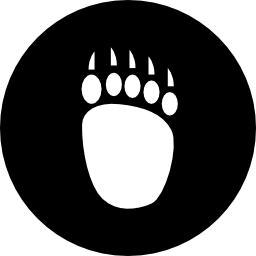 impronta d'orso icona