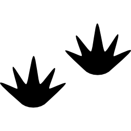 nadruki ptaków ikona