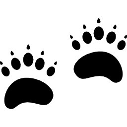 Pawprints icon