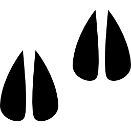 Hoof prints icon