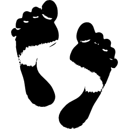 Footprints icon