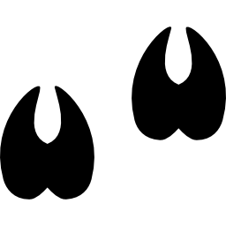 Hoofprints icon