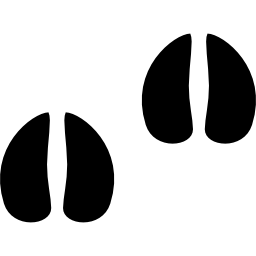 발굽 icon