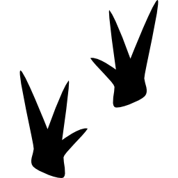 uccelli icona