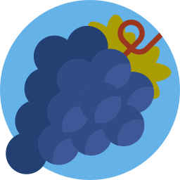 Grapes icon