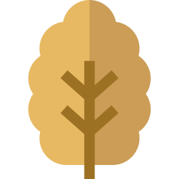 Leaf icon