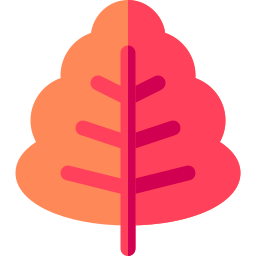 Dry leaf icon