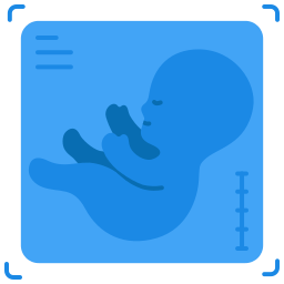 Ultrasound icon