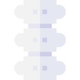 Spine icon