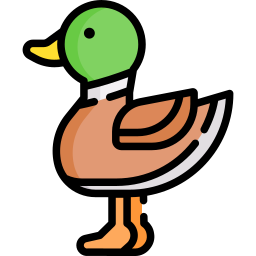 Pato icono