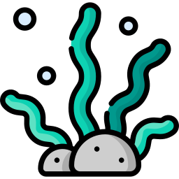 Algas marinhas Ícone