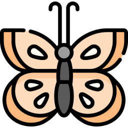 Mariposa icono