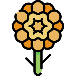 マリーゴールド icon