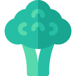 Broccoli icon