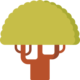 Sycamore icon