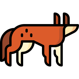 Coyote icon