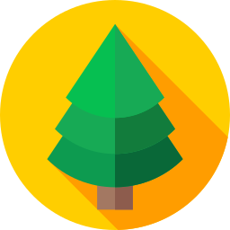 Pine icon