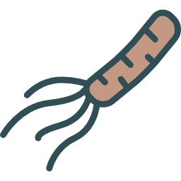 Bacteria icon