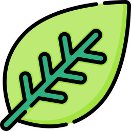 Leaf icon