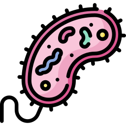 Bacterias icono