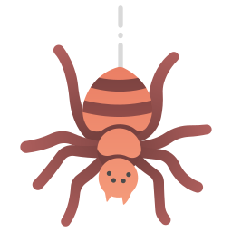 Spider icon