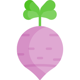 Radish icon