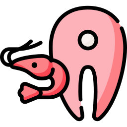 Salmon icon