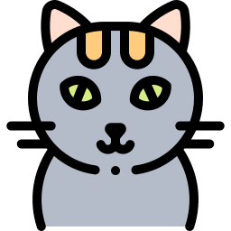 Gato icono