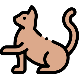 Cat icon