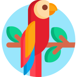 Papagaio Ícone