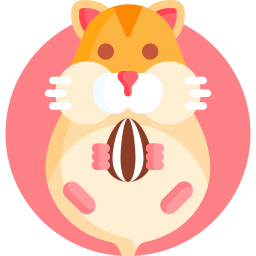 hamster icoon