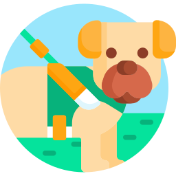 Leash icon