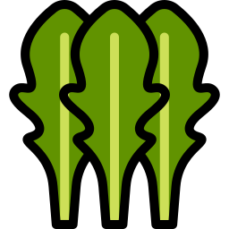 Arugula icon