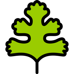 Coriander icon