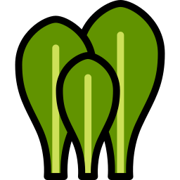 Spinach icon