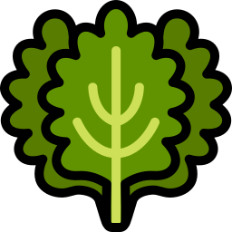 Kale icon