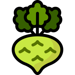 Kohlrabi icon