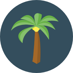 Palm tree icon