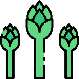 Asparagus icon