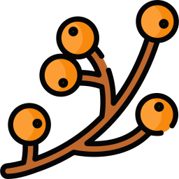 Branch icon