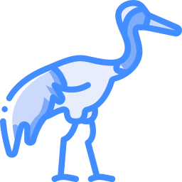 Red crowned crane icon