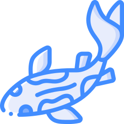 잉어 물고기 icon