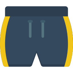 Swimsuit icon