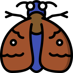 Moth icon