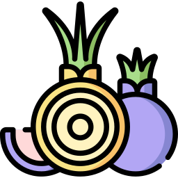 Onion icon