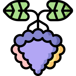 trauben icon
